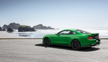 Need For Green Mustang
